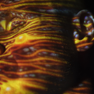 国产精品51麻豆
