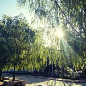 国产精品51麻豆
